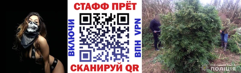 Магазины продажи наркотиков Курильск Псилоцибиновые грибы  Марихуана  Меф  ГАШИШ 