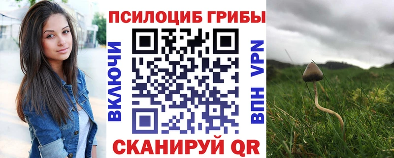 Галлюциногенные грибы Cubensis  дарнет шоп  Курильск 